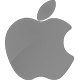 APP开发
